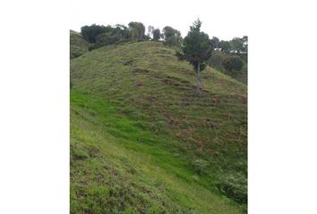 Lote de Terreno en  Abejorral, Antioquia