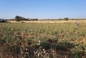 Terreno en  Puebla De Sancho Perez, Badajoz Provincia