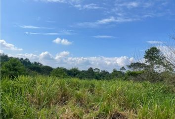 Terreno Comercial en  Santo Domingo De Los Colorados