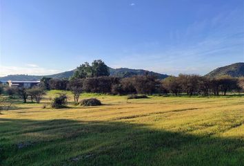 Parcela en  Marchihue, Cardenal Caro