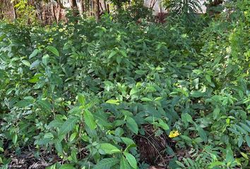 Lote de Terreno en  Villahermosa Centro, Villahermosa, Tabasco