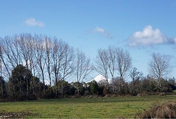 Parcela en  Puyehue, Osorno