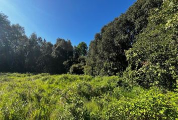 Parcela en  Villarrica, Cautín