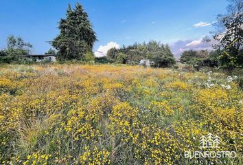 Lote de Terreno en  Calle De La Primavera, San Mateo Acatitlán, Valle De Bravo, México, 51207, Mex