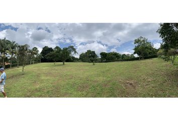 Lote de Terreno en  Calarcá, Quindío