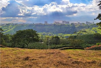 Lote de Terreno en  Calarcá, Quindío