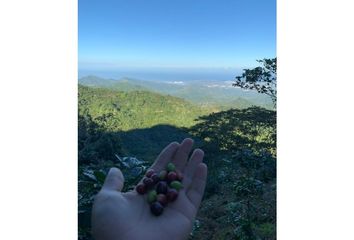 Lote de Terreno en  Tigrera, Santa Marta