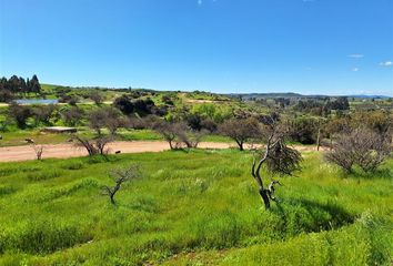 Parcela en  La Estrella, Cardenal Caro