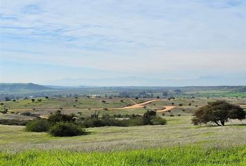 Parcela en  La Estrella, Cardenal Caro