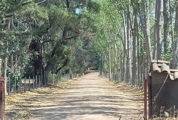 Parcela en  La Estrella, Cardenal Caro