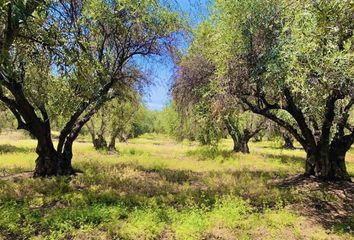 Parcela en  Tiltil, Chacabuco