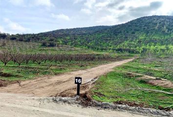 Parcela en  Tiltil, Chacabuco