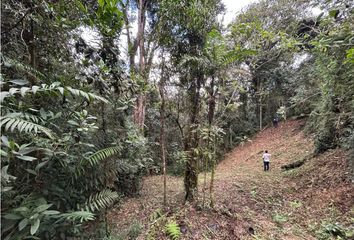 Lote de Terreno en  Las Palmas, Medellín