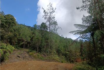 Lote de Terreno en  Candelaria Centro, Medellín