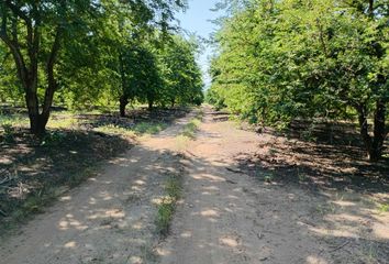 Lote de Terreno en  Armería, Colima