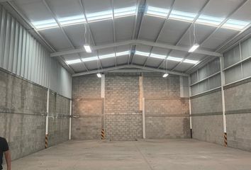 Nave en  Ejido Molino De Santa Ana, Irapuato, Guanajuato