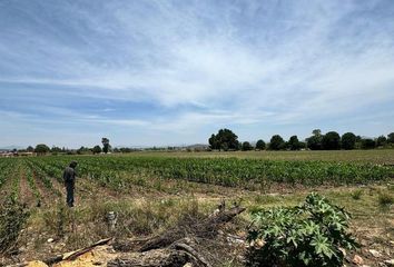 Lote de Terreno en  Residencial Granjas De Tequisquiapan, Tequisquiapan