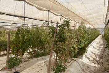 Casa en  Guanajuato, Saltillo, Saltillo, Coahuila