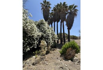 Lote de Terreno en  Ojos Negros, Ensenada