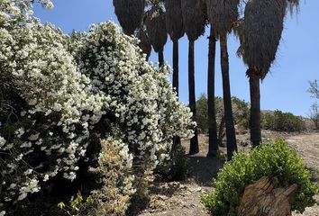 Lote de Terreno en  Ojos Negros, Ensenada