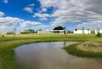 Terrenos en  La Plata, Partido De La Plata