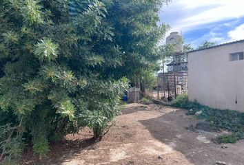 Lote de Terreno en  Rancho Los Olivares, Francisco Zarco, Ensenada, Baja California, 22750, Mex