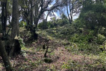 Lote de Terreno en  Club De Golf Los Encinos, Lerma