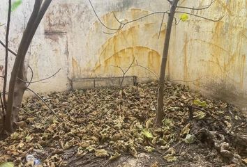 Casa en  Casas Ibañez, Albacete Provincia