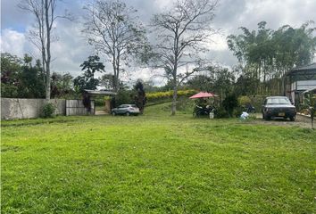 Villa-Quinta en  Barcelona Alta, Circasia, Quindio, Col