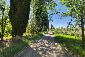 Casa en  Allen, Río Negro