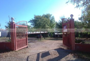 Quinta en  Calle Ignacio Zaragoza 700, Centro De Montemorelos, Montemorelos, Nuevo León, 67500, Mex