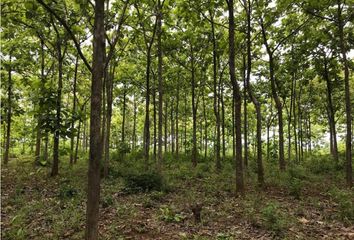 Lotes y Terrenos en  Aguadulce