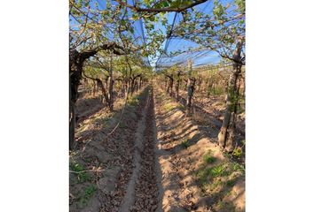 Quinta/Finca en  Rivadavia, Mendoza