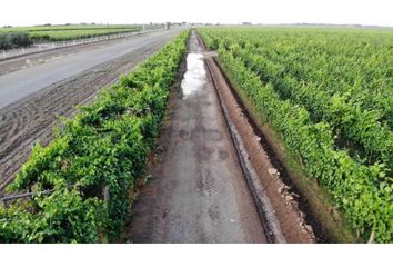 Quinta/Finca en  Maipú, Mendoza