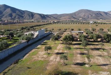 Lote de Terreno en  Murgia, Ensenada