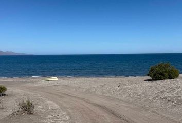 Lote de Terreno en  Plaza Pública, San Ignacio Centro, San Ignacio, Mulegé, Baja California Sur, 23930, Mex