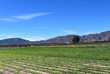 Lote de Terreno en  Rancho Los Olivares, Francisco Zarco, Ensenada, Baja California, 22750, Mex