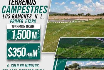 Lote de Terreno en  Auto Partes Y Servicios 'garcia', Centro De Los Ramones, Los Ramones, Nuevo León, Mex