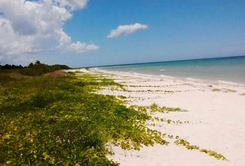 Lote de Terreno en  Palula Beach Camping, X 25 33, San Crisanto, Sinanché, Yucatán, 97424, Mex