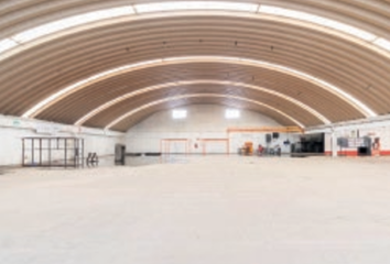 Nave en  Estación Metro Nopalera, Tláhuac, Colonia Los Olivos, Tláhuac, Ciudad De México, 13210, Mex