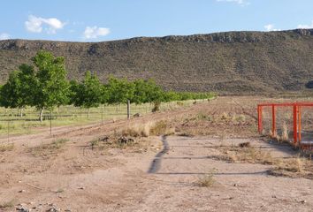 Lote de Terreno en  General Cepeda, Coahuila