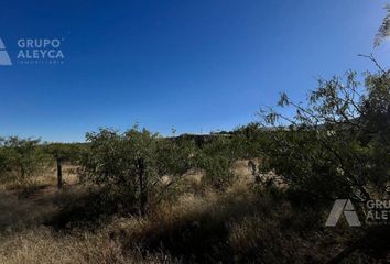Lote de Terreno en  Santa Bárbara (chihuahua)
