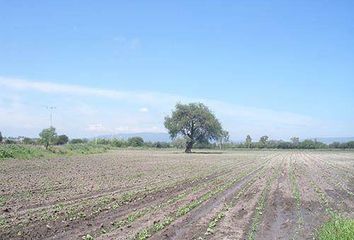 Lote de Terreno en  Club De Golf Tequisquiapan, Tequisquiapan