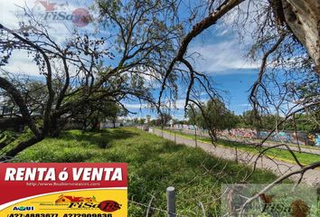 Lote de Terreno en  Centro, San Juan Del Río, San Juan Del Río, Querétaro