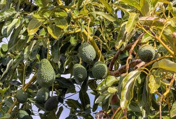 Chalet en  Guajar Alto, Granada Provincia