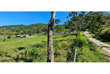 Villa-Quinta en  Chinácota, Norte De Santander