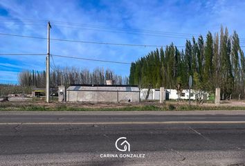 Terrenos en  General Roca, Río Negro