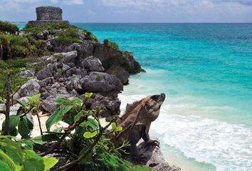 Departamento en  Bahía Principe, Tulum