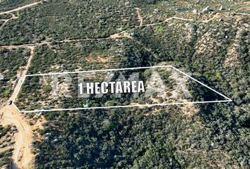 Lote de Terreno en  Murgia, Ensenada