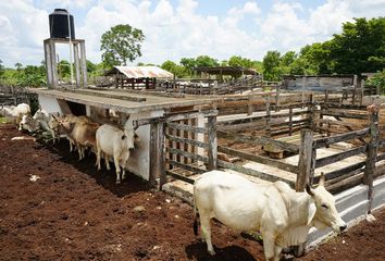 Rancho en  Calle 30 B, Buctzotz, Yucatán, 97620, Mex